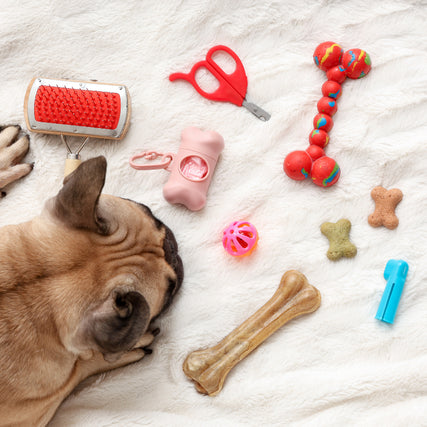 Pet&nbsp;Supplies