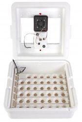Little Giant Incubator with Fan and Egg Turner