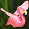 WINDY WINGS 7  FLA MINGO