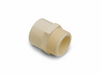 Genova Products 1/2 in. CPVC Male Pipe Thread Adapter