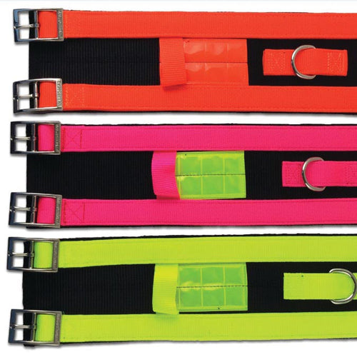 Valhoma Hogg Dogg Collar - 4