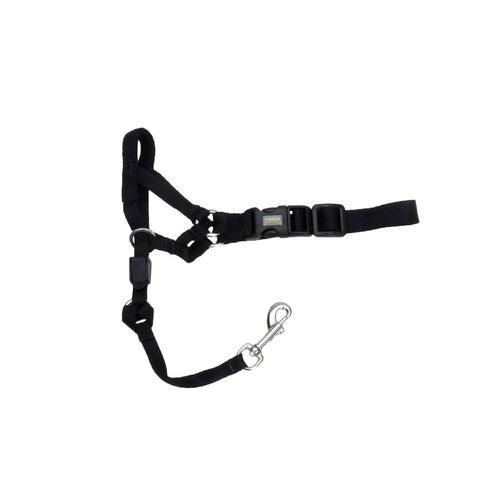 Coastal Pet Walk 'n Train! Dog Head Halter