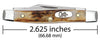 Case Genuine Stag Small Pen