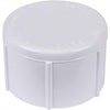 Genova Products PVC Cap (Fip)