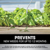Roundup® Dual Action 365 Weed & Grass Killer Plus 12 Month Preventer with Comfort Wand®