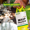 Rescue TrapStik Wasp Trap