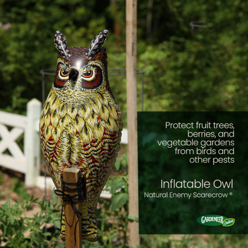 Dalen  Inflatable Owl - 24 Natural Enemy Scarecrow to Deter Birds