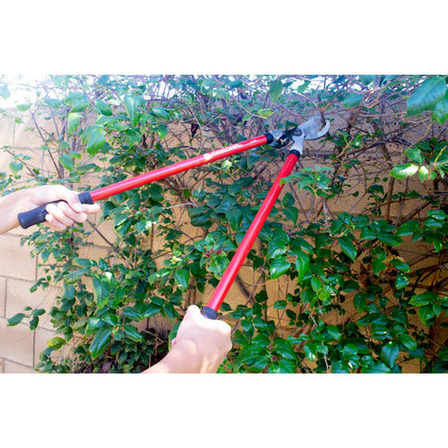 Corona Clipper Shrub Branch & Stem 3-Pc Set