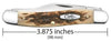 Case Amber Bone Peach Seed Jig Stockman
