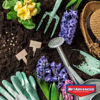 BIOADVANCED FRUIT, CITRUS & VEGETABLE INSECT CONTROL