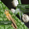 BIOADVANCED FRUIT, CITRUS & VEGETABLE INSECT CONTROL