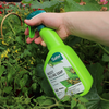 SAFER® BRAND INSECT KILLING SOAP WITH SEAWEED EXTRACT RTU